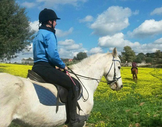 Officina Equestre