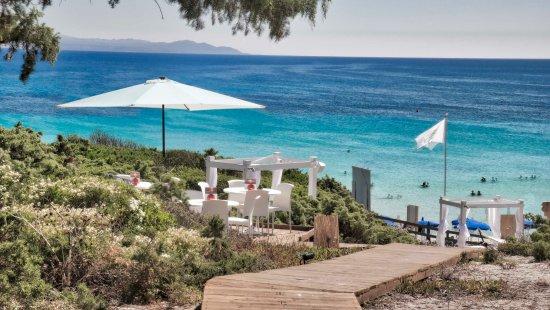Bar Martini Lounge Restaurant Beach Club