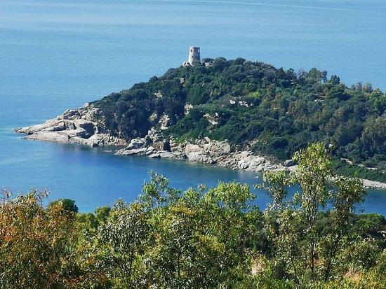 Taratasciar