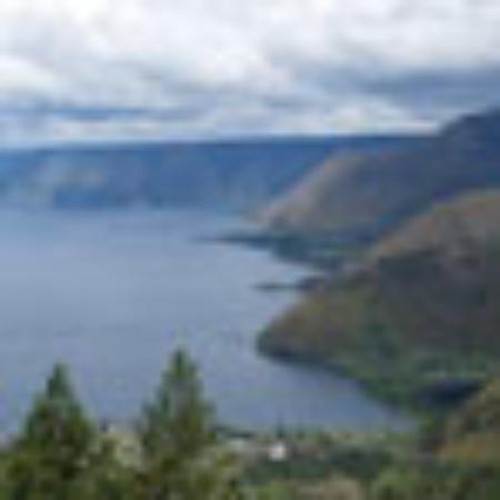 Amsicora