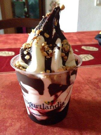 Yogurtlandia San Vito