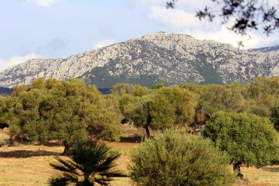 Agriturismo Biriddo