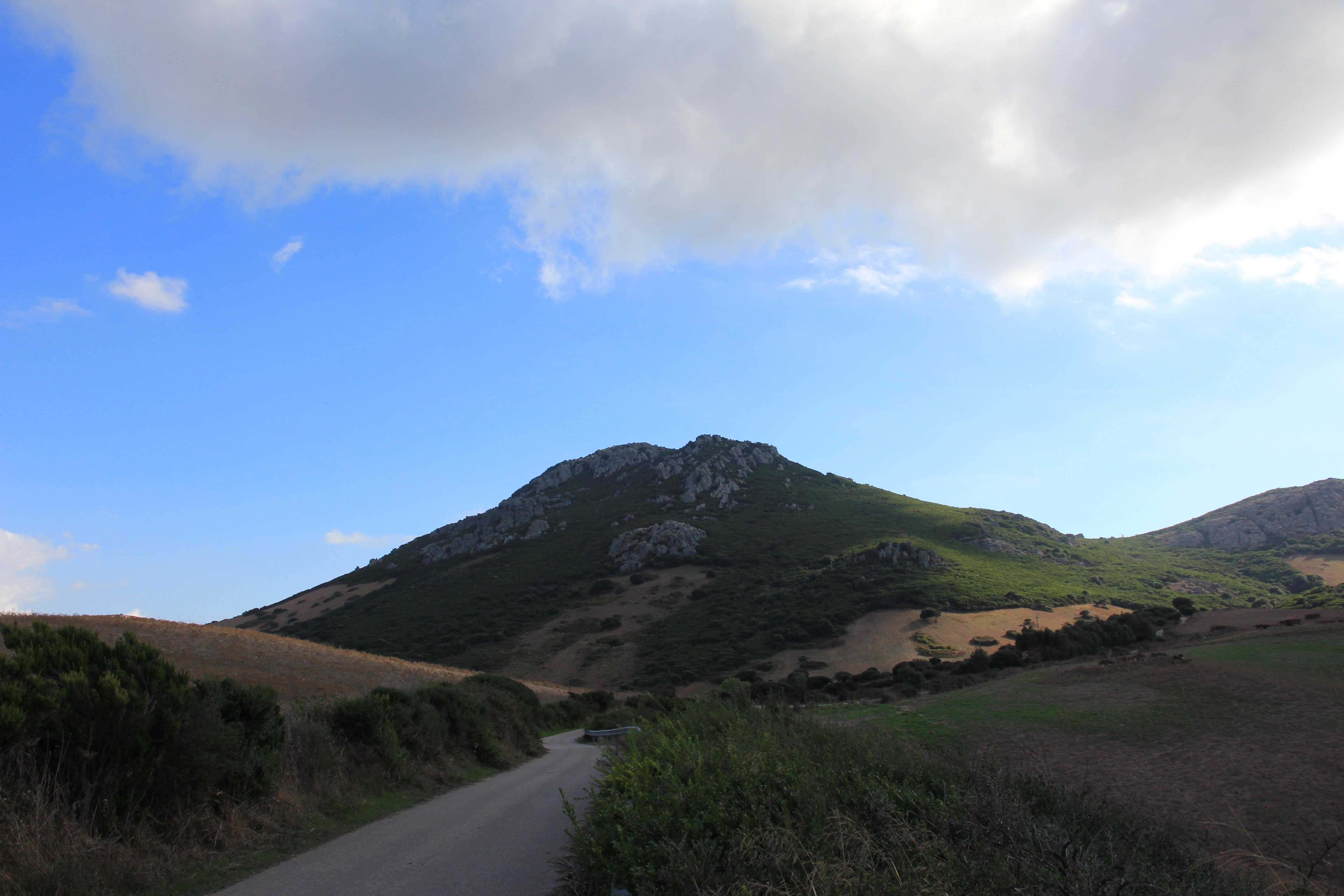Monte Forte