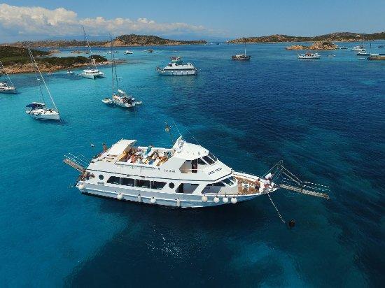Navetta Sea Star