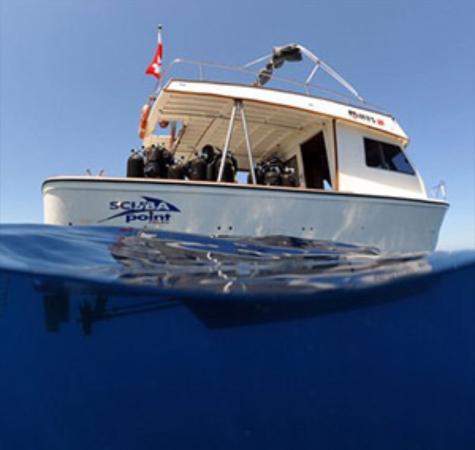 Scuba Point Diving Palau