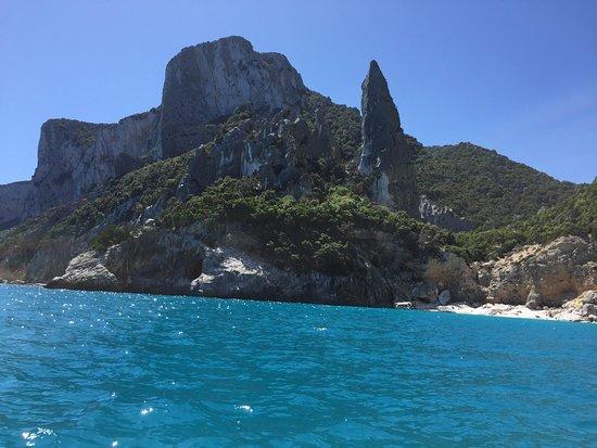 Palmasera Boat Rental