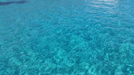 Asinara Garbo Charter