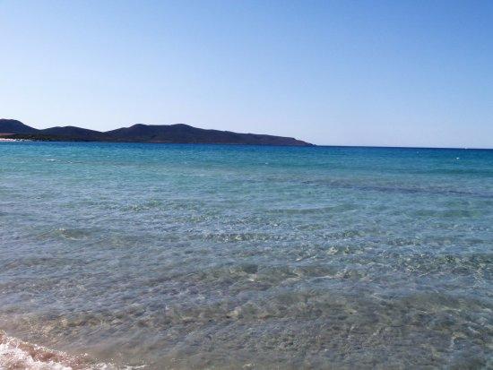 Spiaggia Animal Frendly Porto Pino