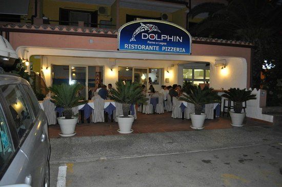 Dolphin