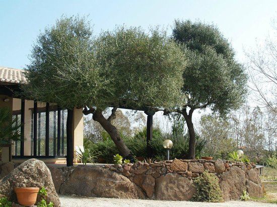Agriturismo Gollei