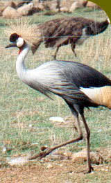 Parc naturel Parco degli Uccelli