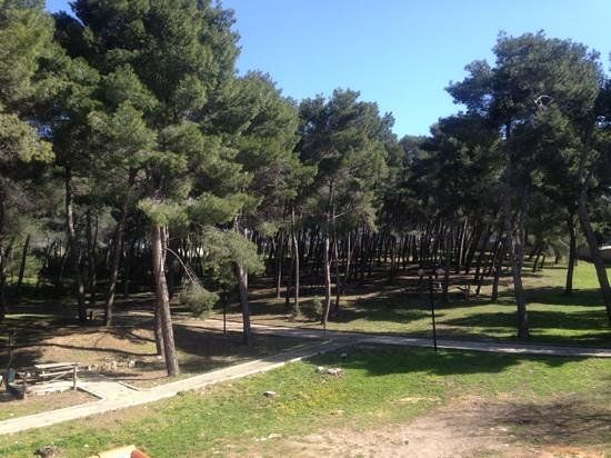 Parc Badimanna